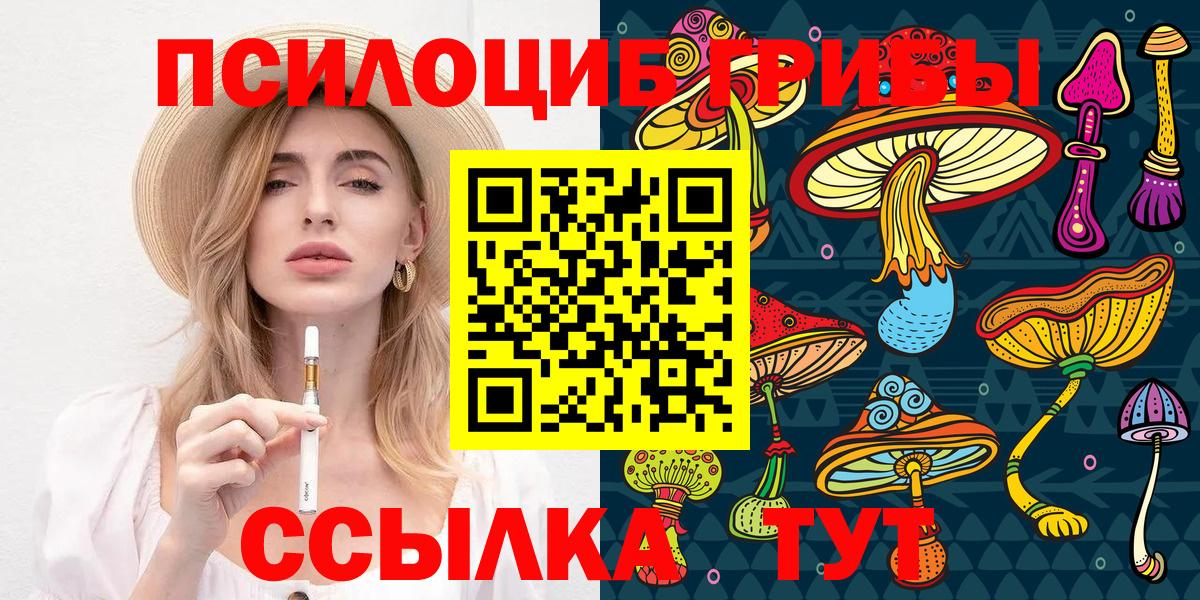 Тимашёвск  Галлюциногенные грибы Psilocybine cubensis  Вход с VPN 